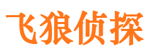 诏安出轨调查